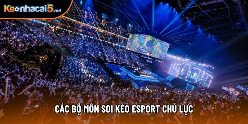 Các bộ môn soi kèo esport chủ lực Các bộ môn soi kèo esport chủ lực