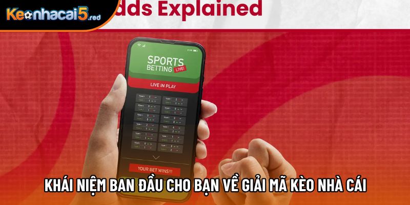 Khái niệm ban đầu cho bạn về giải mã kèo nhà cái