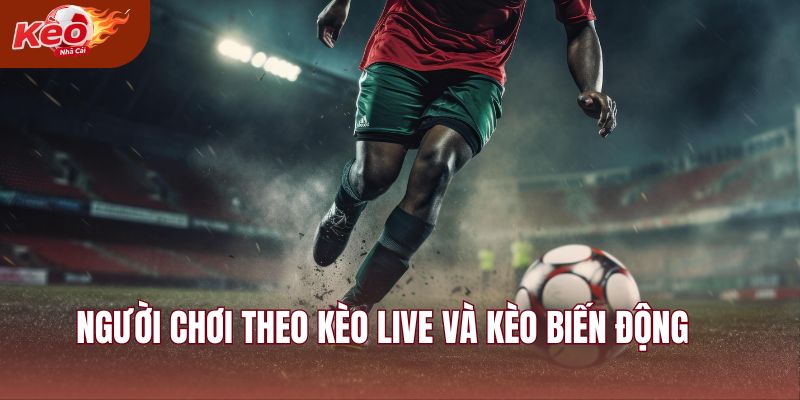 Người chơi theo kèo live và kèo biến động