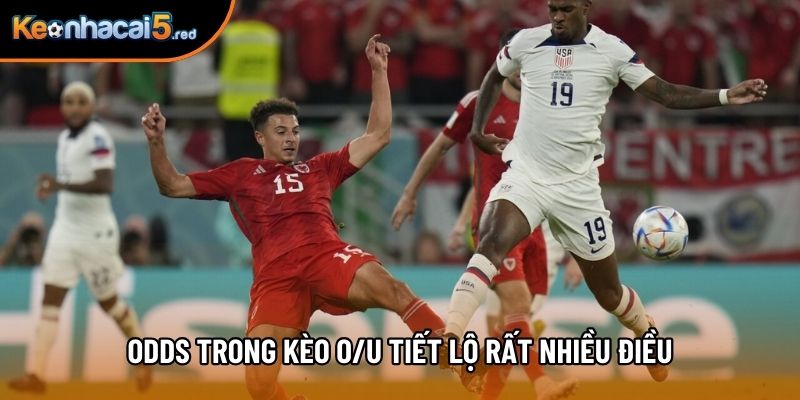 Odds trong kèo O/U tiết lộ rất nhiều điều