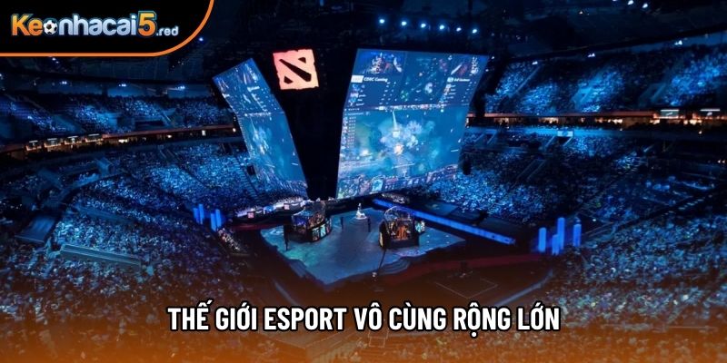 Thế giới Esport vô cùng rộng lớn