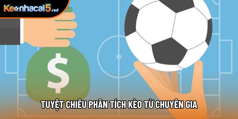 Tuyệt chiêu phân tích kèo từ chuyên gia