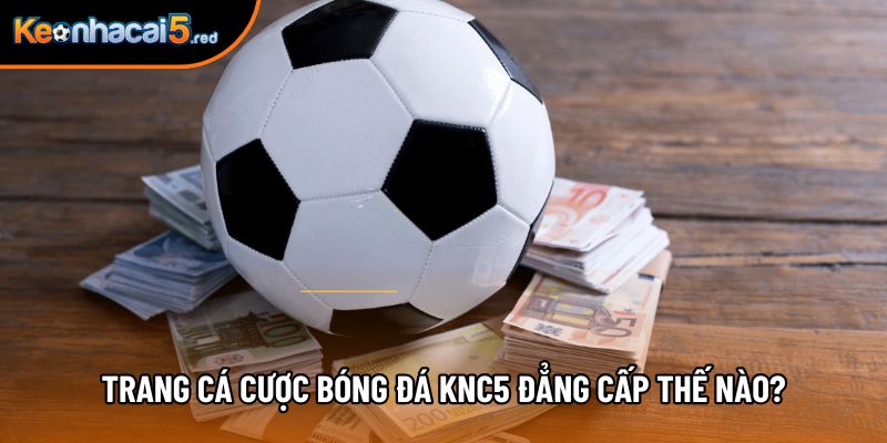 Trang cá cược bóng đá KNC5 đẳng cấp thế nào? Trang cá cược bóng đá KNC5 đẳng cấp thế nào?