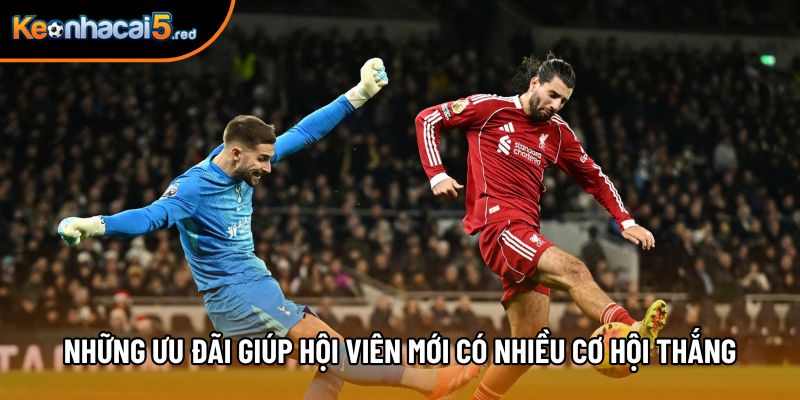 Những ưu đãi giúp hội viên mới có nhiều cơ hội thắng lớn