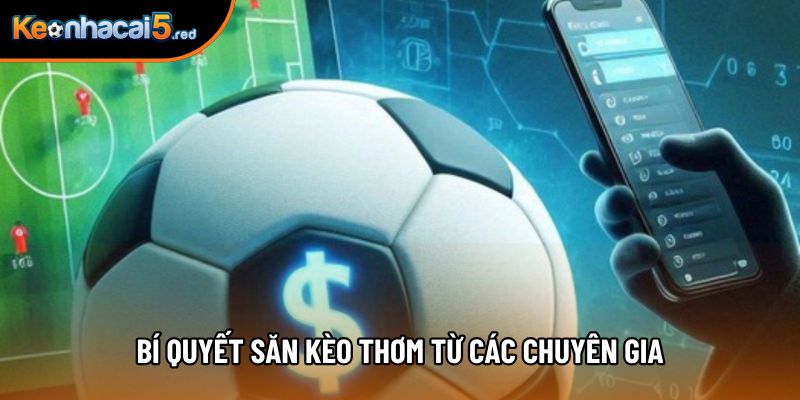 Bí quyết săn kèo thơm từ các chuyên gia
