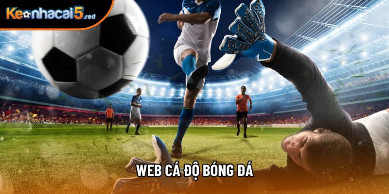 Web Cá Độ Bóng Đá Kèo Nhà Cái: Điểm Tựa Cho Bet Thủ